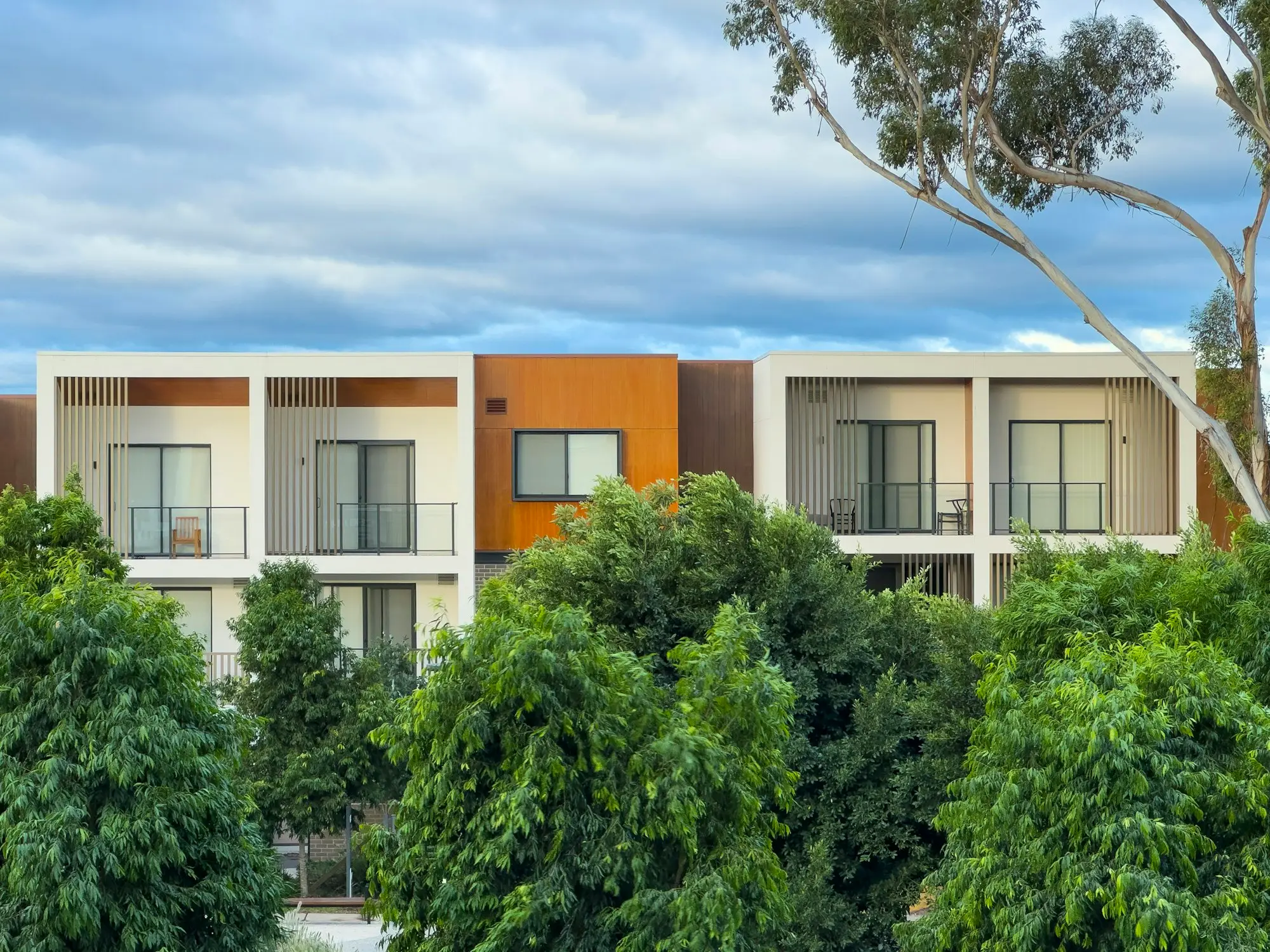 Modern townhouses among trees